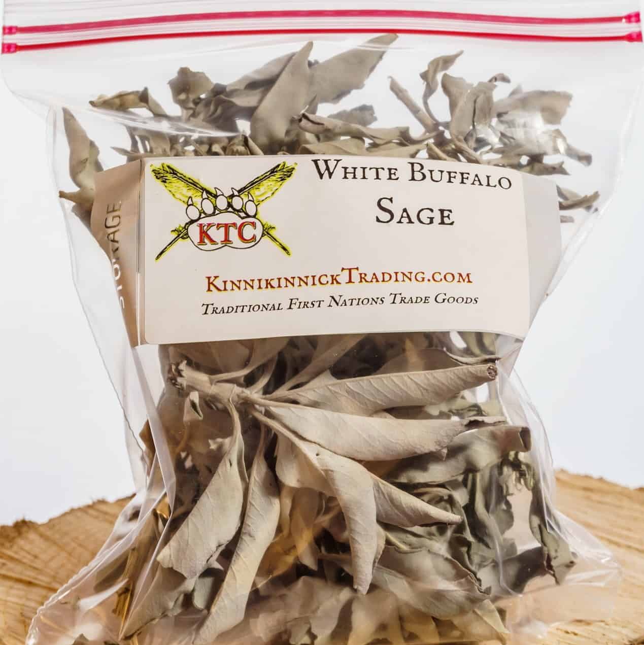 White Buffalo Sage – Kinnikinnick Trading Co.