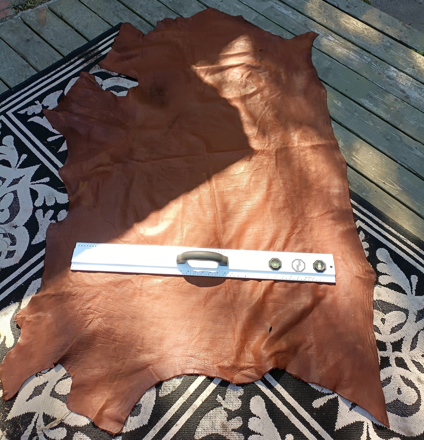 Bison Hide